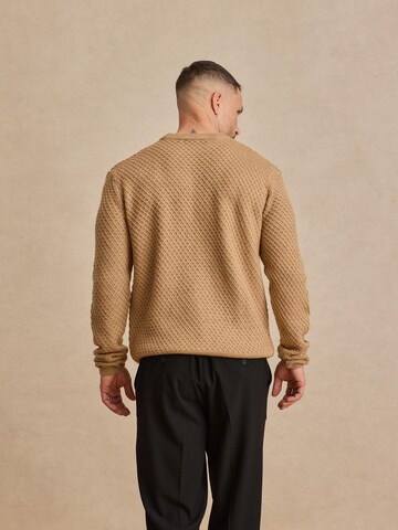 DAN FOX APPAREL Trui 'Melvin' in Beige