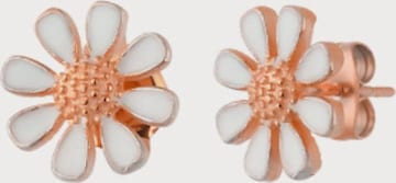 Einzelstück Earrings 'Daisy' in Gold: front