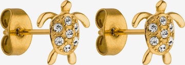 Boucles d'oreilles 'White Turtle' PURELEI en or : devant