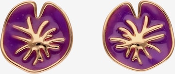 Boucles d'oreilles IZIA en or : devant