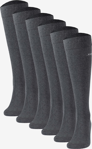 JOOP! - Calcetines hasta la rodilla en gris: frente