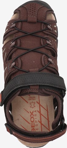 GEOX Hiking Sandals 'U S.Strada A' in Brown