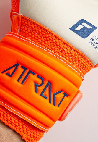 REUSCH Sporthandschoenen 'Attrakt' in Oranje