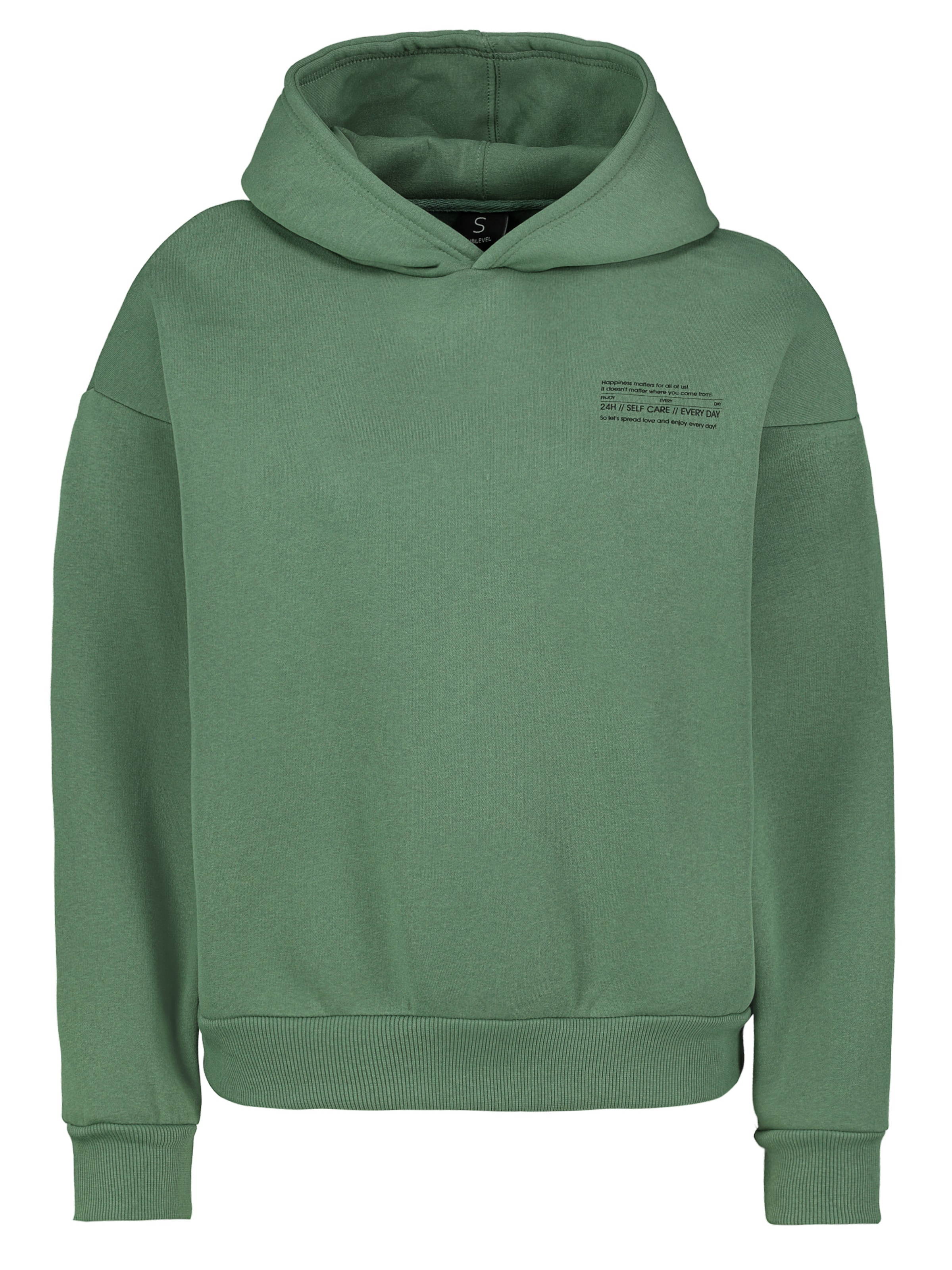 Sublevel Sweatshirt in grasgrün, Produktansicht