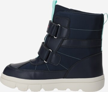 GEOX Stiefel in Blau