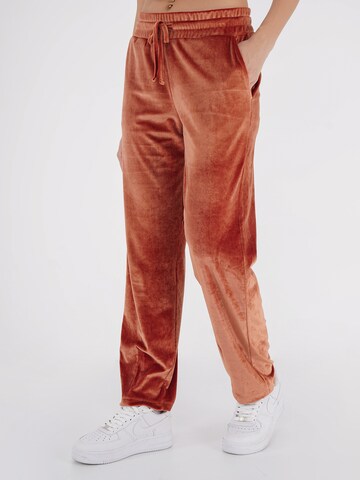 FRESHLIONS Regular Pants in Brown