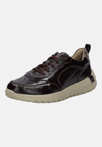 JOSEF SEIBEL High-top trainers in Red