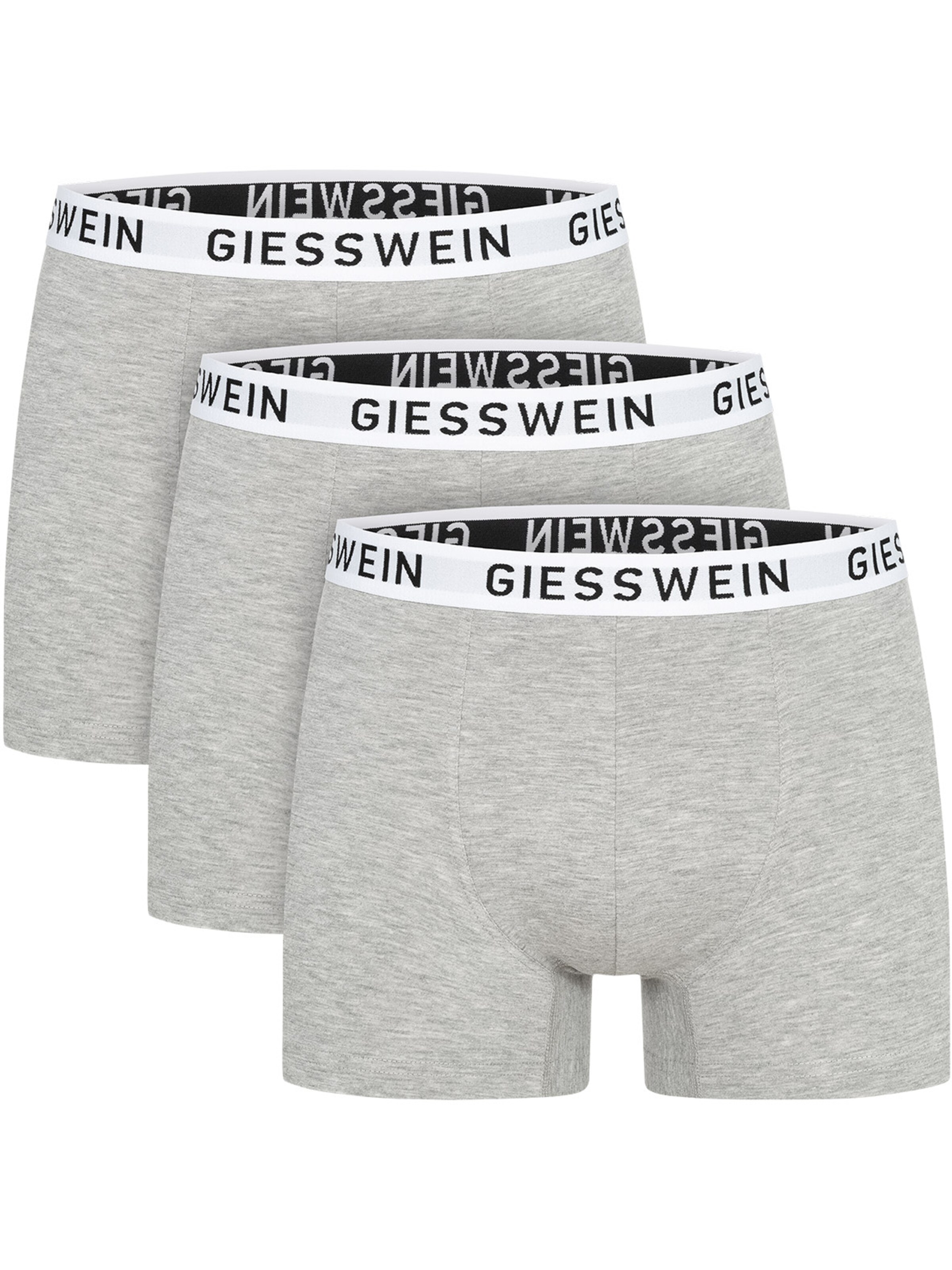 GIESSWEIN Boxer shorts in Grey: front