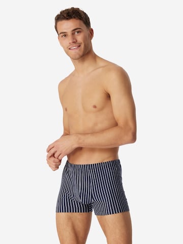 SCHIESSER Boxer shorts '95/5 Essentials Organic Cotton' in Blue