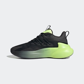 ADIDAS PERFORMANCE Sneaker 'AlphaBoost V2' in Schwarz