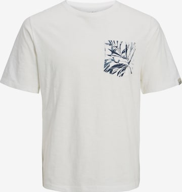 JACK & JONES Shirt 'JORCrayon' in White: front