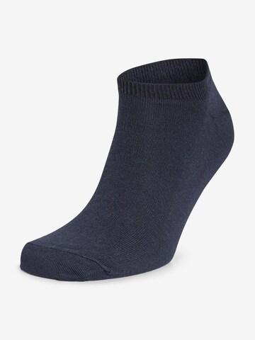 Next Socks in Blue