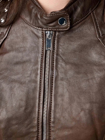 Tazzio Between-Season Jacket 'F521' in Brown
