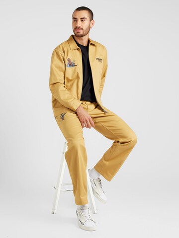 Carhartt WIP Демисезонная куртка 'Ducks' в Бежевый