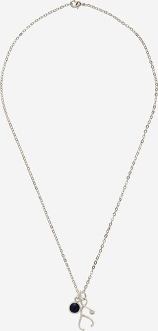 Gemshine Necklace in Silver: front