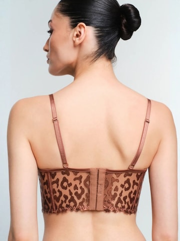 PentiBustier Grudnjak 'BHs & Bralettes' - smeđa boja