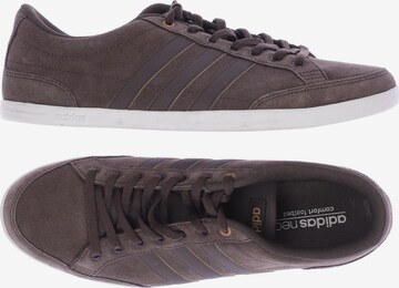 ADIDAS NEO Sneakers & Trainers in 45 in Brown: front