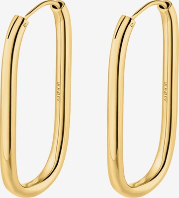 Nana Kay Earrings 'Solid Flair' in Gold: front