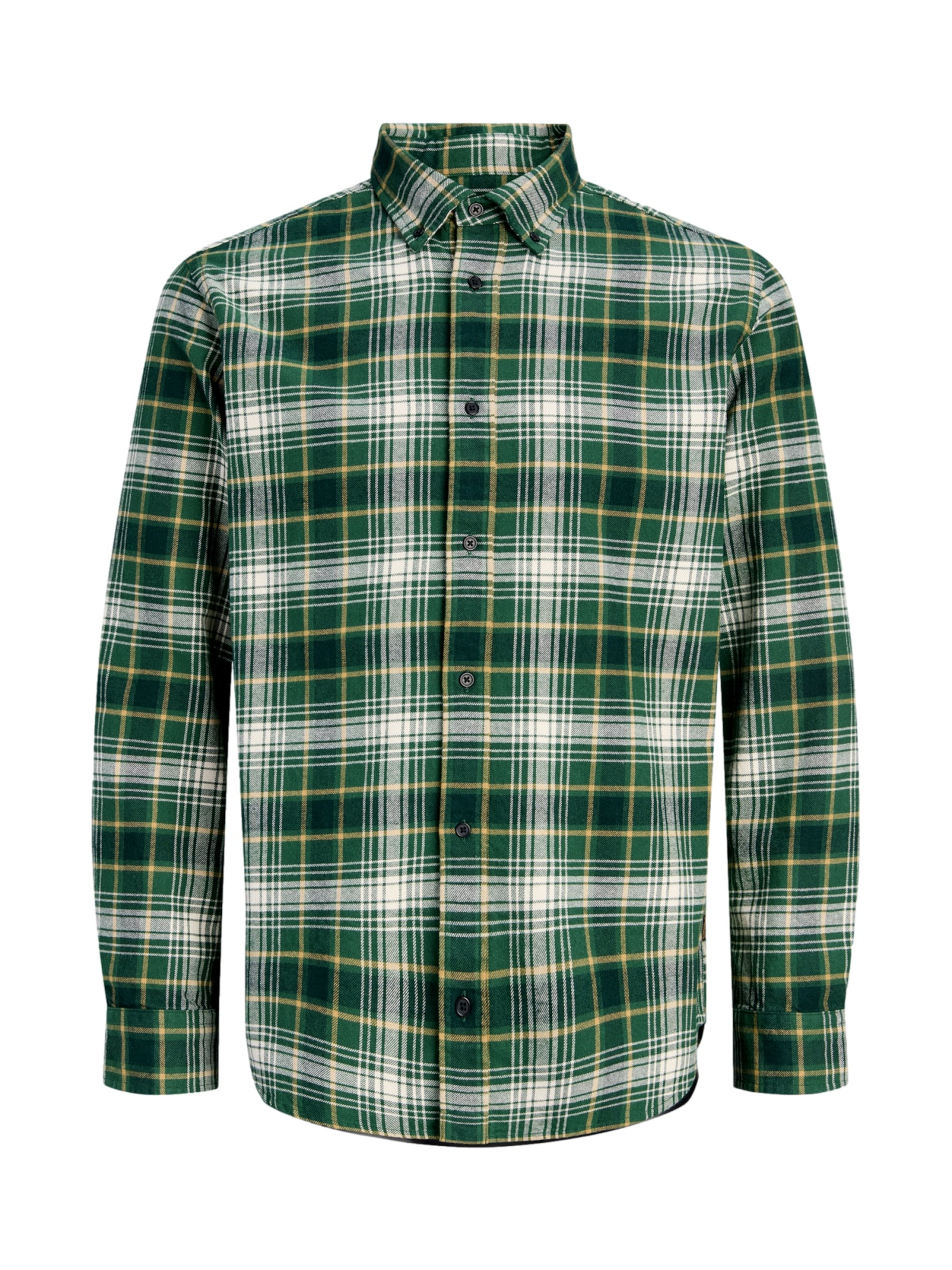 JACK & JONES Hemd 'JPRBluharvey' in Grün: Vorderseite