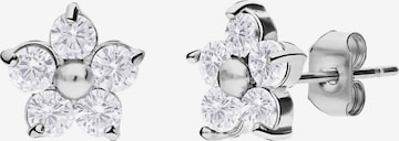 Lucardi Oorbellen in Zilver: voorkant