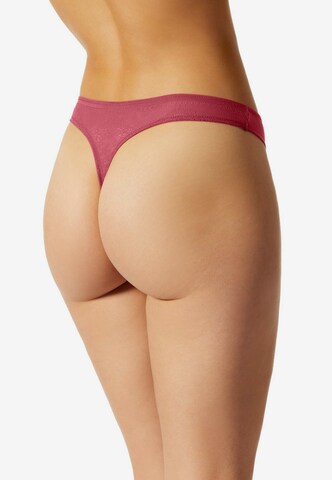 SCHIESSER Thong in Red