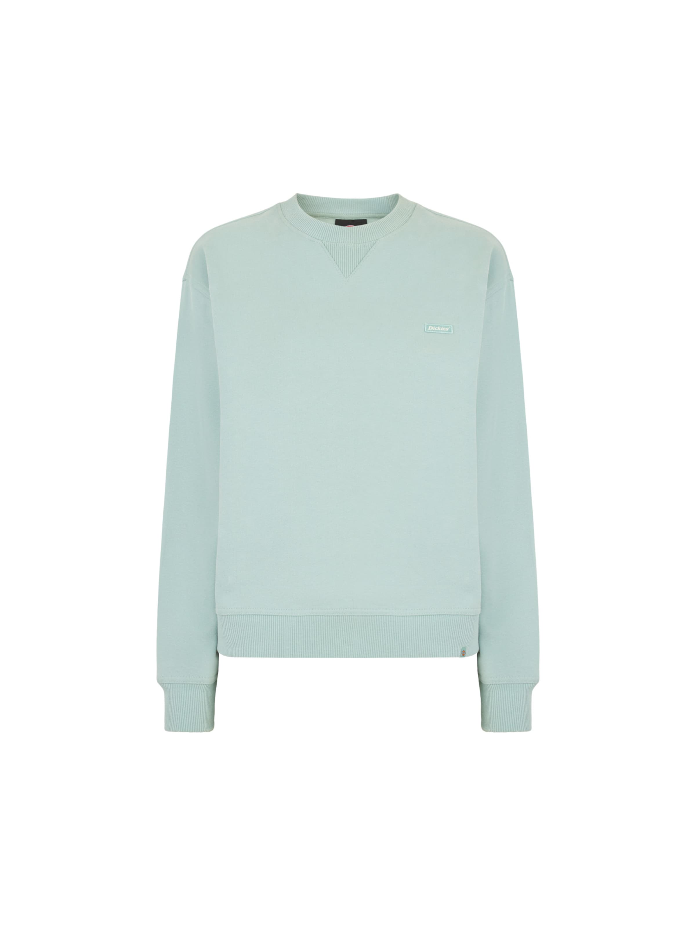 DICKIES Sweatshirt 'CLANCY' in Green: front