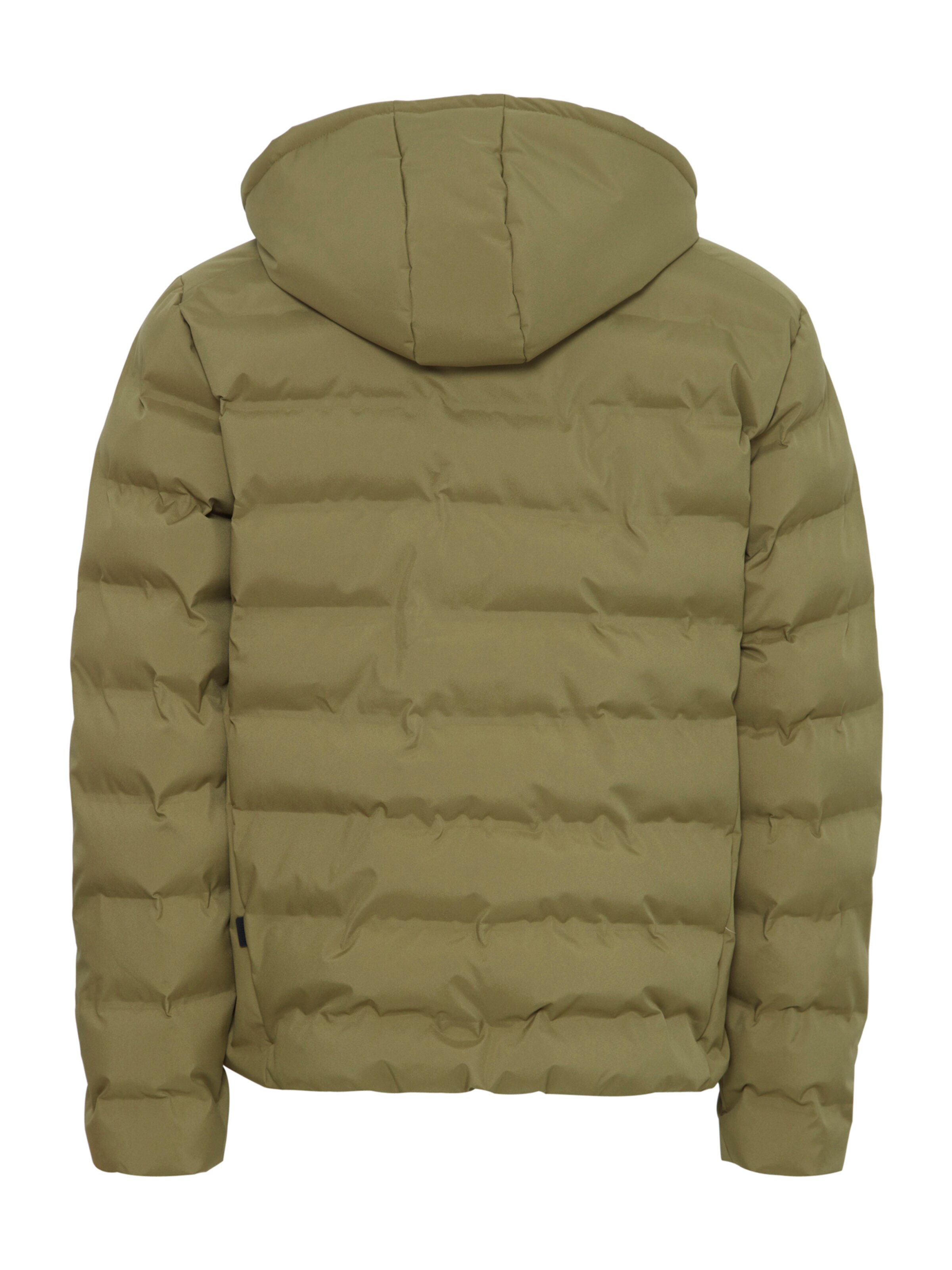 !Solid Winter Jacket 'SD Milas' in Green