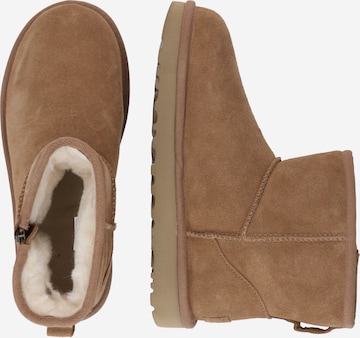 UGG Škornji 'Bailey' | rjava barva