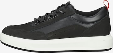 FRETZ MEN Sneaker in Schwarz