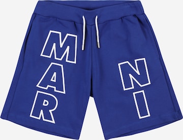 Marni Regular Pants in Blue: front