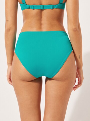 CALZEDONIA Bikini Bottoms 'INDONESIA' in Green