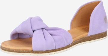 Apple of Eden Sandals in Purple: front