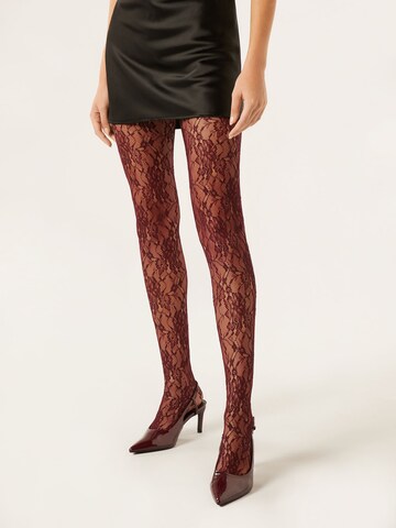 CALZEDONIA Strumpfhose in Rot