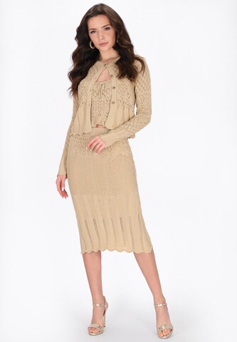 faina Skirt in Beige