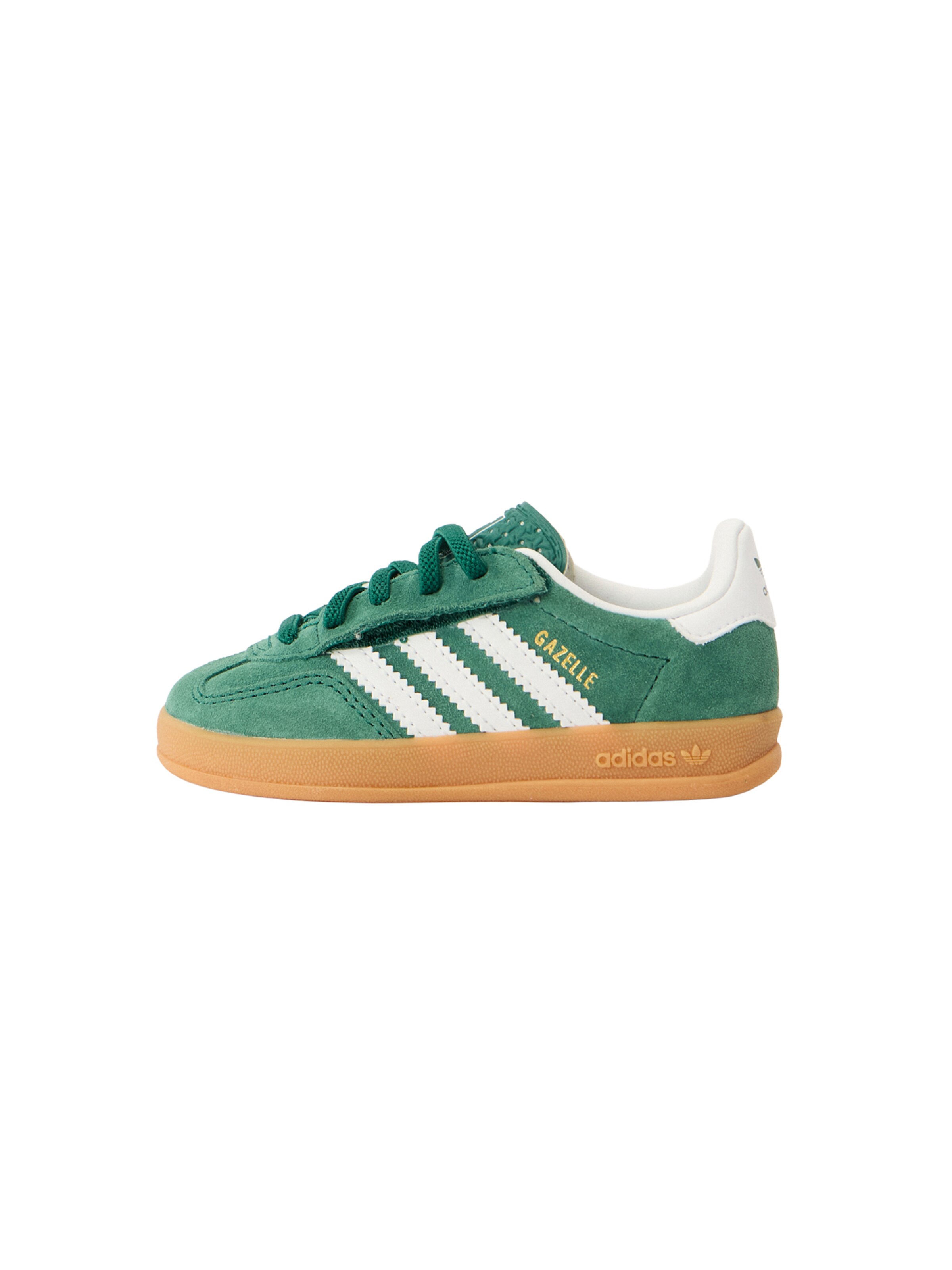 Baskets 'GAZELLE INDOOR' ADIDAS ORIGINALS en vert : devant