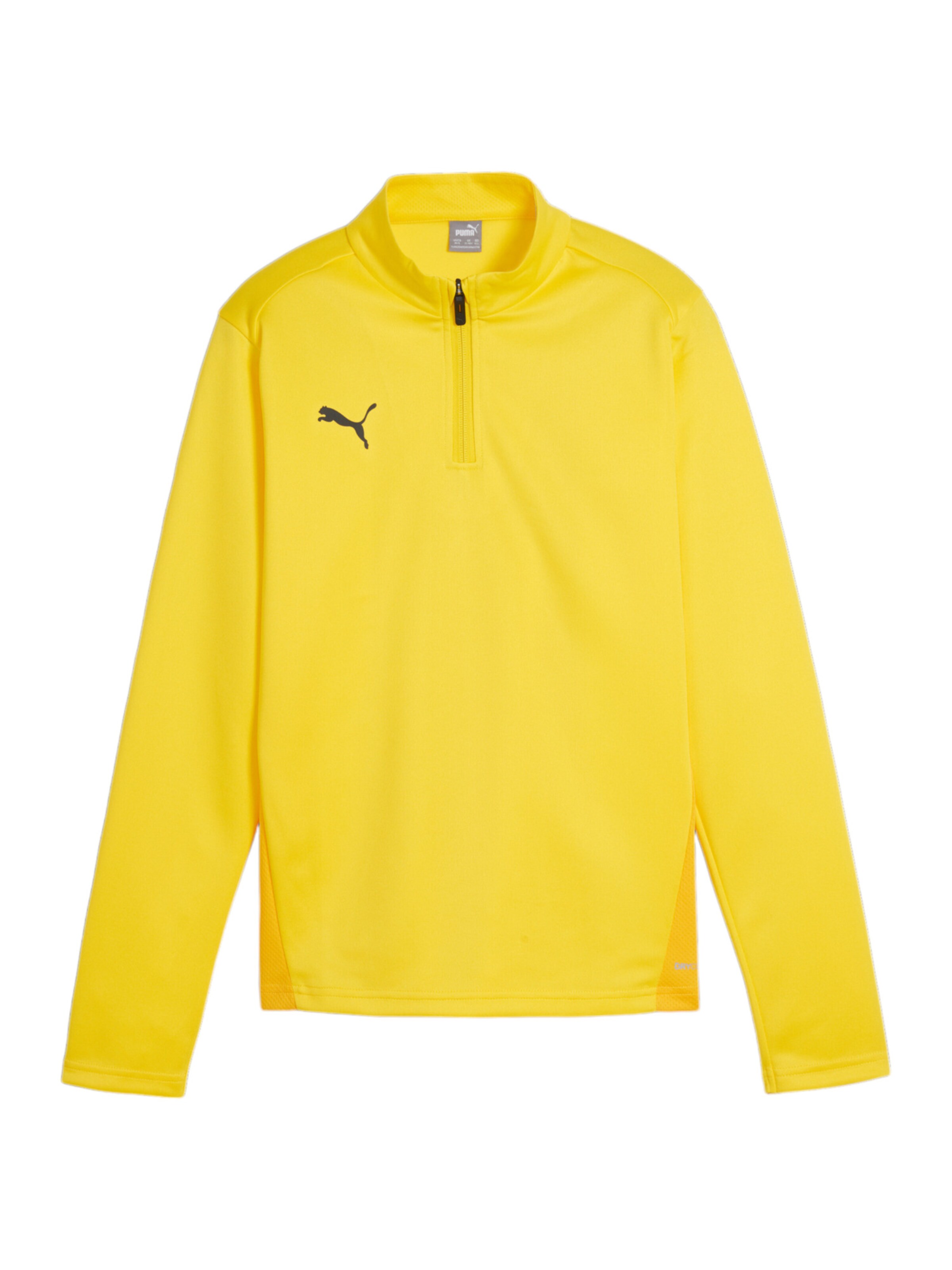 PUMA Funktionsshirt 'Team Goal' in Gelb: Vorderseite