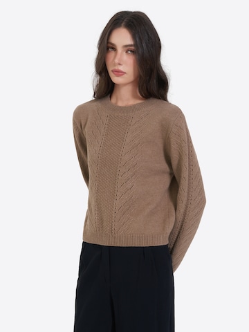 Imily Bela Sweater in Brown