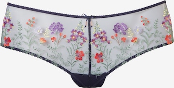LASCANA Panty in Blue: front