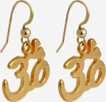 Gemshine Earrings in Gold: front