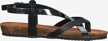 IGI&CO Sandalen met riem in Zwart