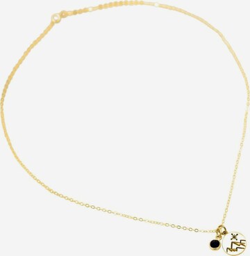 Gemshine Ketting in Goud