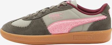 Baskets basses 'Palermo' PUMA en vert : devant