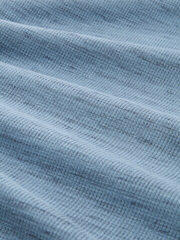 TOM TAILOR Shirt in Blauw