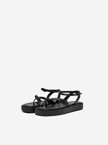 ONLY Sandalen met riem 'MICA' in Zwart