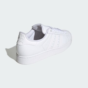 ADIDAS ORIGINALS Platform trainers 'Superstar' in White