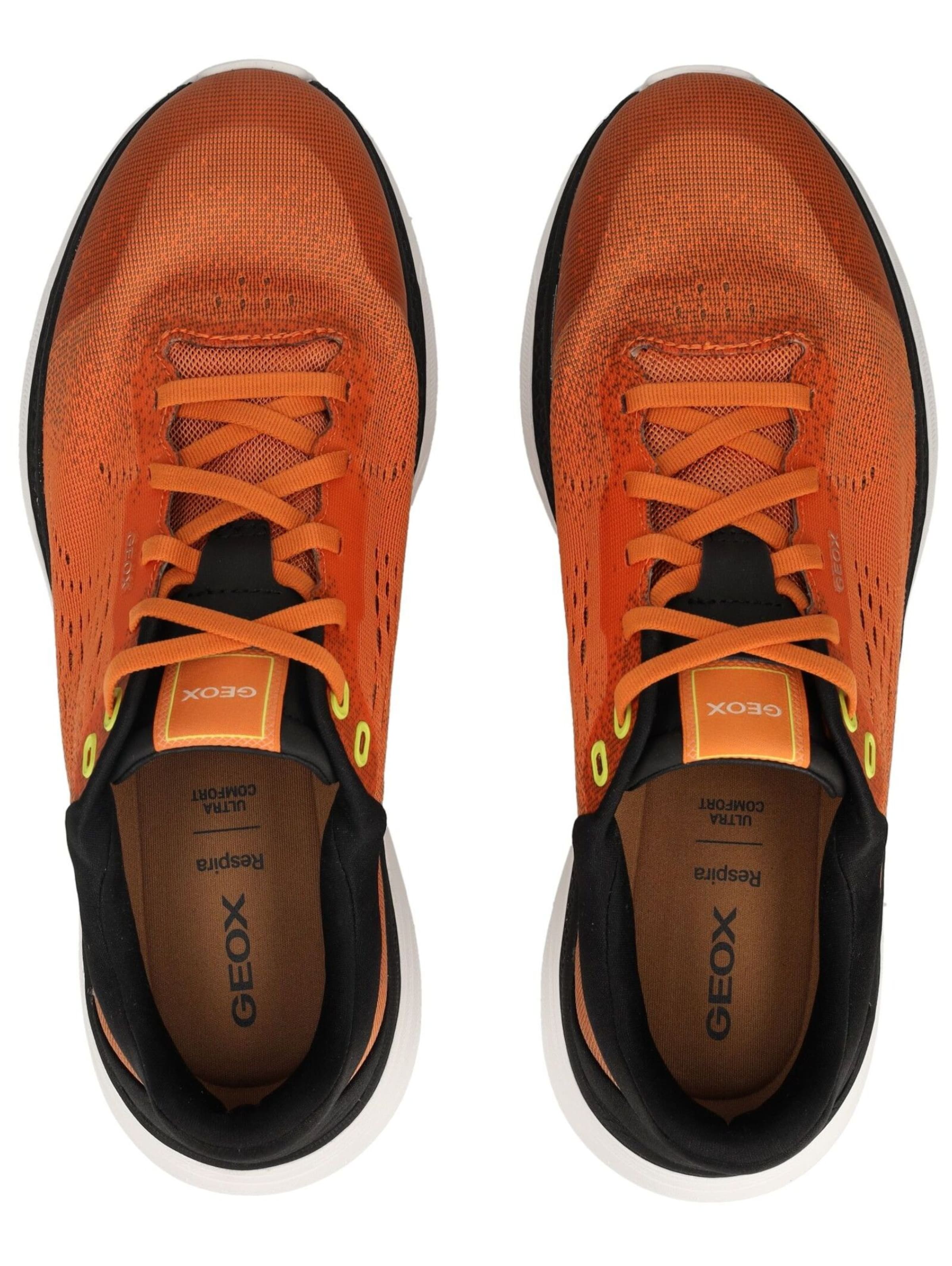 Sneaker bassa di GEOX in arancione