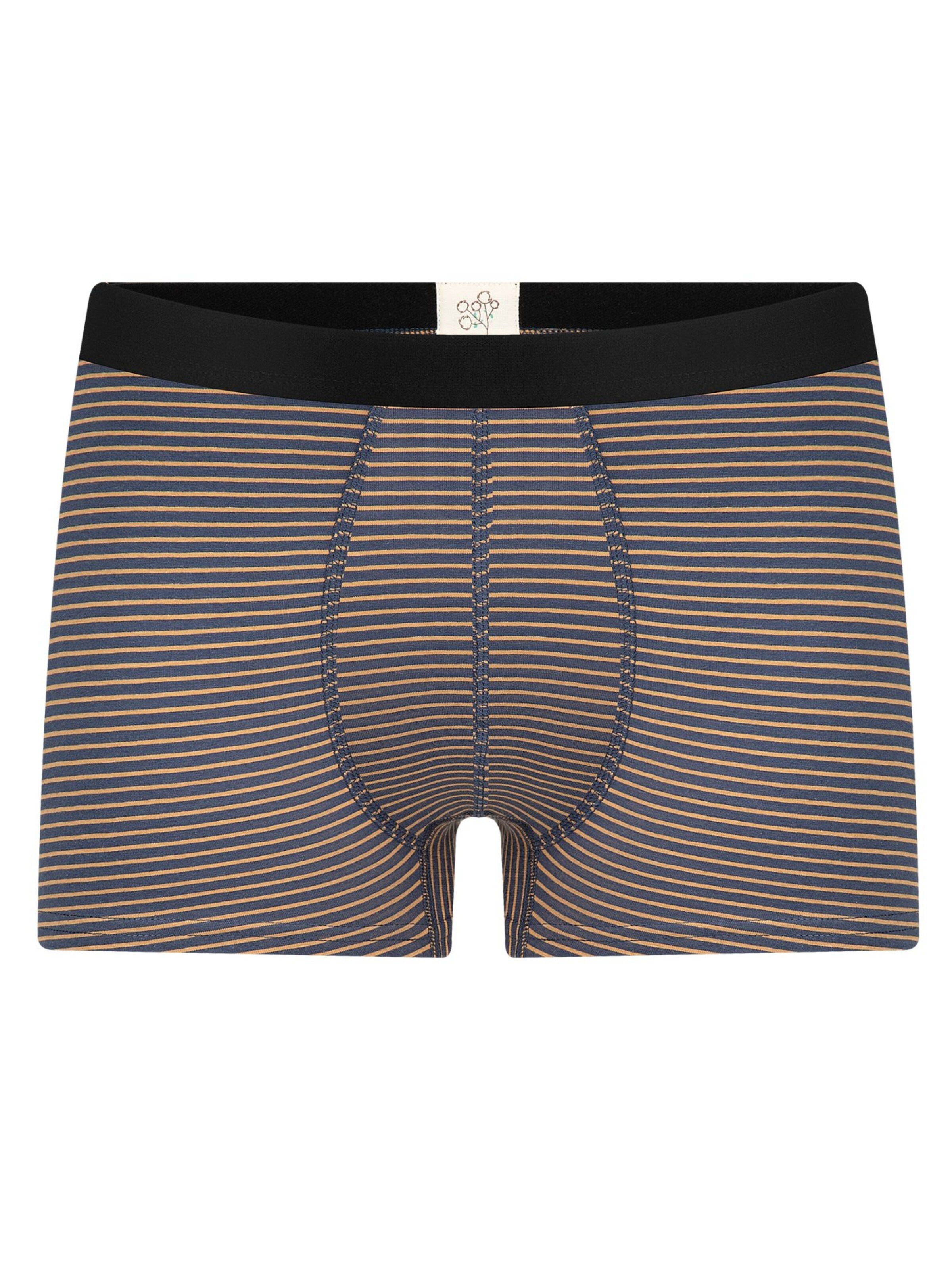 Albero Natur Boxershorts 'Herren Trunkshorts aus Bio-Baumwolle'‌‌ in Beige: Vorderseite