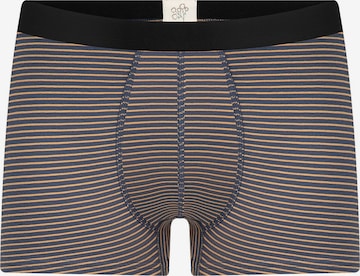 Albero Natur Boxershorts 'Herren Trunkshorts aus Bio-Baumwolle' in Beige: Vorderseite