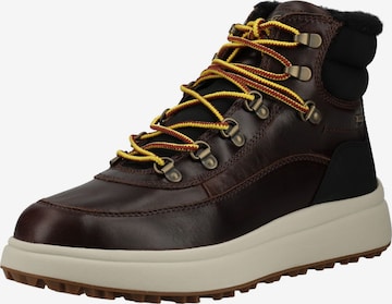 GEOX Schnürboots in Braun: Vorderseite