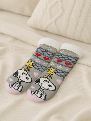 Snoopy & Die Peanuts Socks 'Hüttensocken' in Grey